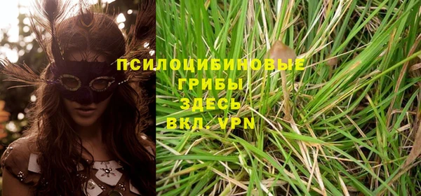 хмурый Армянск