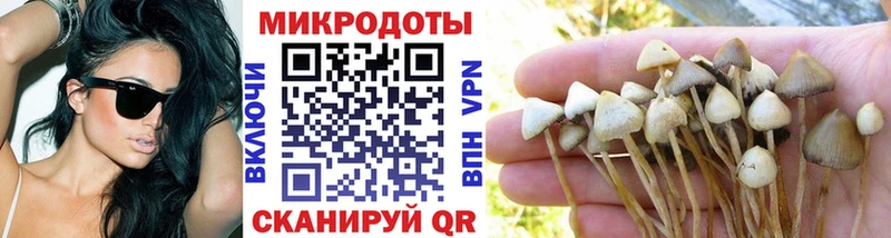 наркошоп  hydra онион  Псилоцибиновые грибы Cubensis  Солигалич 